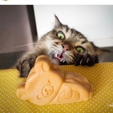 爱吃荔枝的猫