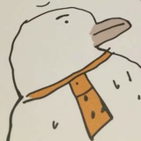 柑
