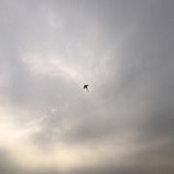 一生一会