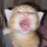idmpwm