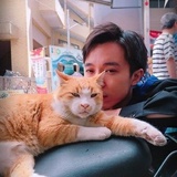 向日葵🌻