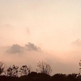 黎安