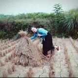 佳期如梦