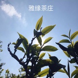 雅缘茶庄