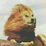 LLL