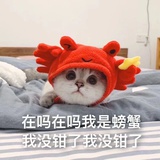 理论