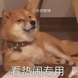 吃会瓜的小群众