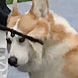 巴适