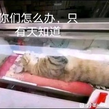 何谓实在