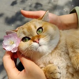 。