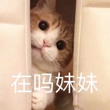 桥本怜奈
