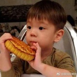 哒哒哒哒萌宝贝