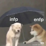 吃瓜群众
