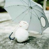浅夏(๑•ั็ω•็ั๑)