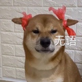 路过一只喵