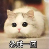 萌萌哒的大佬