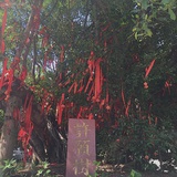 宝宝