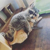 🍳