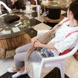 萌萌～🐳想吃豆包
