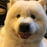 看节目别看我