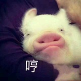 给给