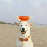 试着让故事继续