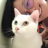 麦乐迪-可乐