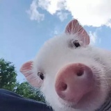 禾绿