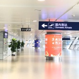 散装记忆携带者