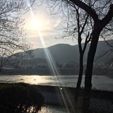良月
