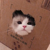 julyanling