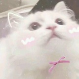 小仙女💓