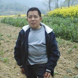 我心飞翔