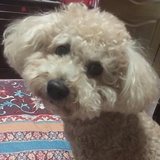 俐子🌰