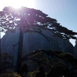ansontang