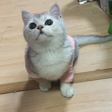 开开心心逛豆瓣