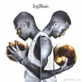 呆毛和它的狮子