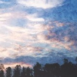 夕页小咸菜