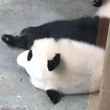 XJC