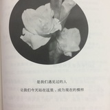 阿漾