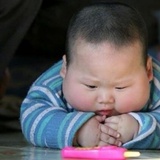 林圆子圆