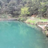 随波逐流