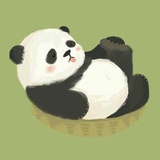 仁佰伍