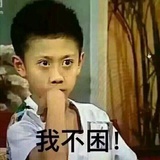 皮皮植