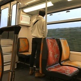撞撞的田园看守