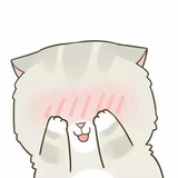 刘青松