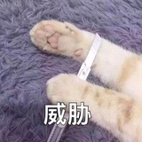 徐er