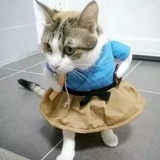 江鱼