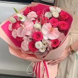 弗洛伊德🌹