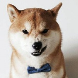 读书的最帅